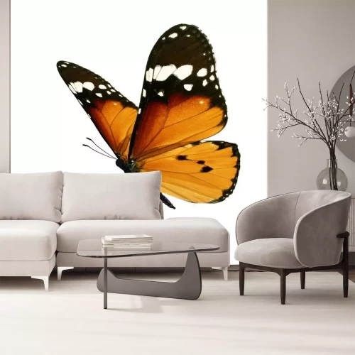 Sticker Nahaufnahme eines orange-schwarzen Schmetterlings im Flug