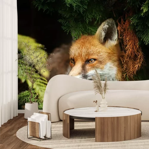 Fototapete Fuchs im Gebüsch