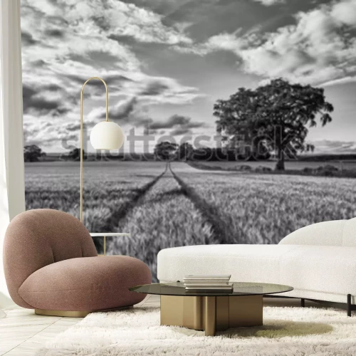 Fototapete Schwarz-weißes Feld