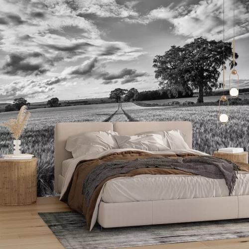 Fototapete Schwarz-weißes Feld