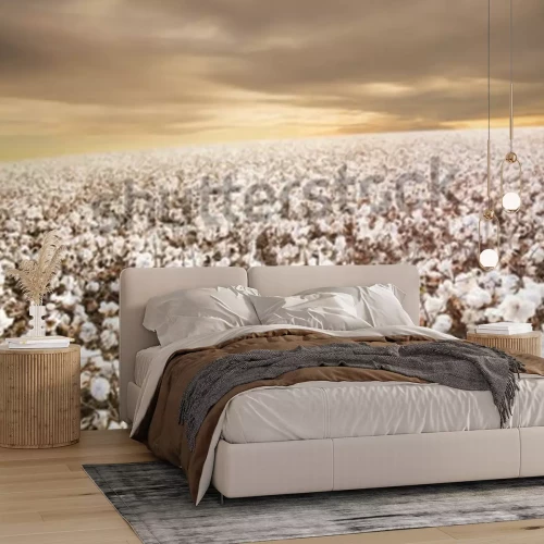 Fototapete Feld weißer Blumen