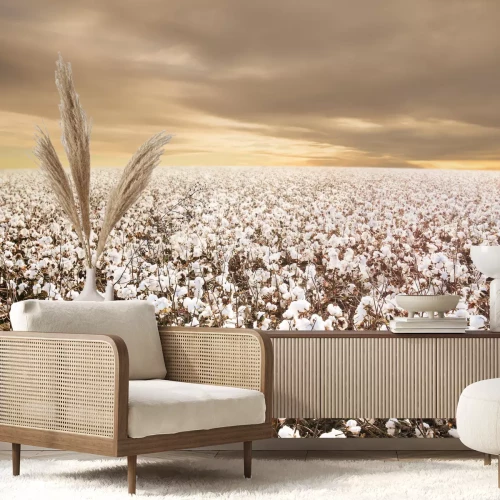 Fototapete Feld weißer Blumen