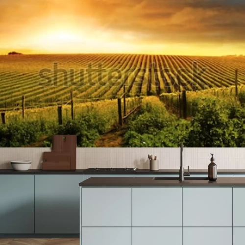 Fototapete Feld und Sonne im Retro-Stil