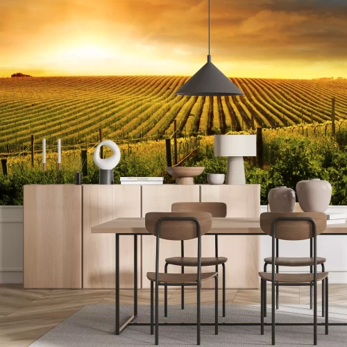 Fototapete Feld und Sonne im Retro-Stil