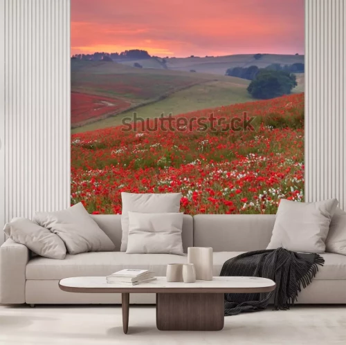 Fototapete Blumenfeld bei Sonnenuntergang