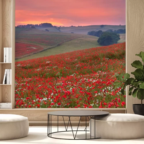 Fototapete Blumenfeld bei Sonnenuntergang