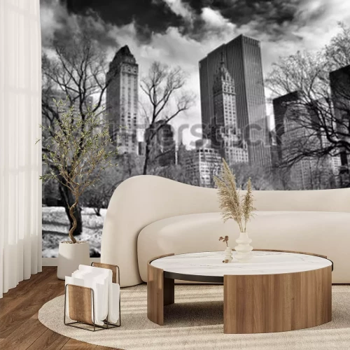 Fototapete Gapstow Bridge im Central Park im Winter