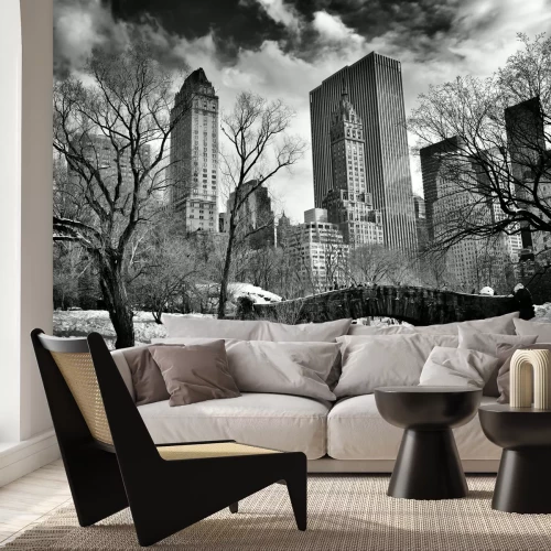 Fototapete Gapstow Bridge im Central Park im Winter