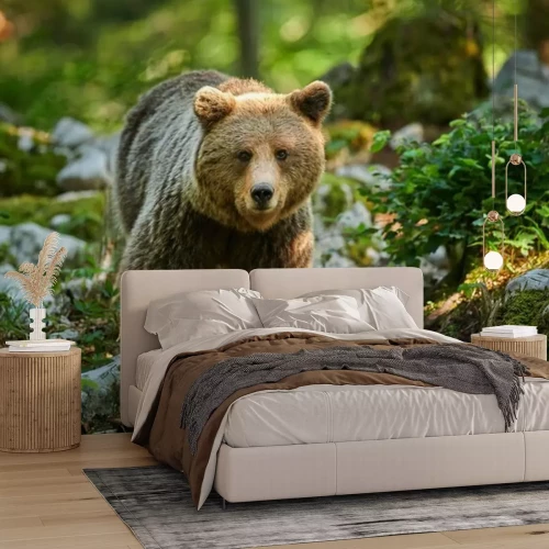 Fototapete Bär in Bergen