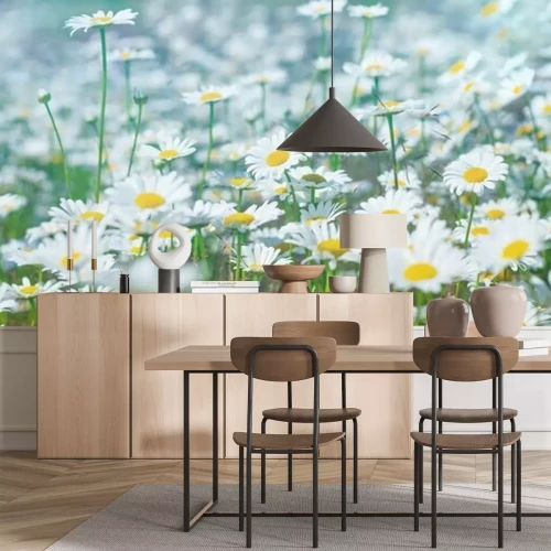 Fototapete Gras voller Gänseblümchen