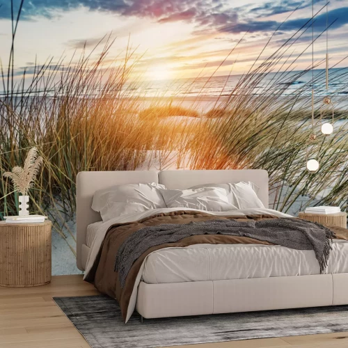 Fototapete Dünen an der Ostsee bei Sonnenuntergang