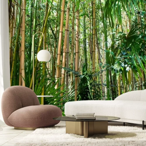 Fototapete Tropischer Bambuswald Landschaft