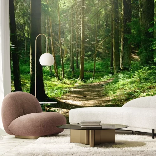 Fototapete Malerischer Waldweg