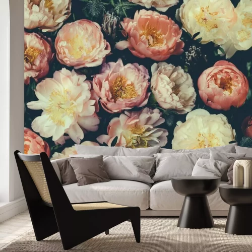 Fototapete Leuchtende Pfingstrosenknospen auf schwarzem Hintergrund