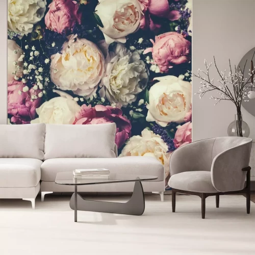 Fototapete Pfingstrosen mit Schleierkraut auf dunklem Hintergrund