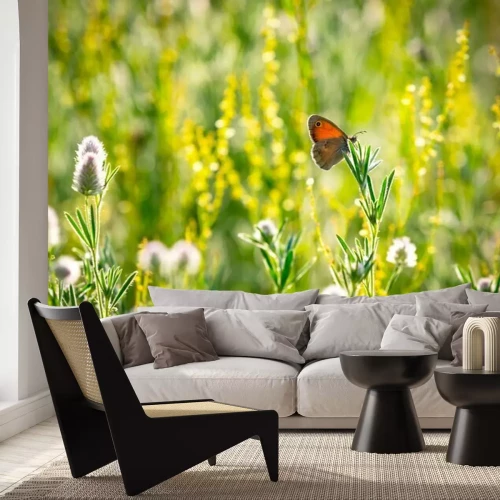 Fototapete Schmetterling und Blumen auf der Wiese