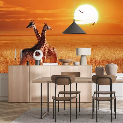 Fototapete Afrika Giraffen Sonnenschein