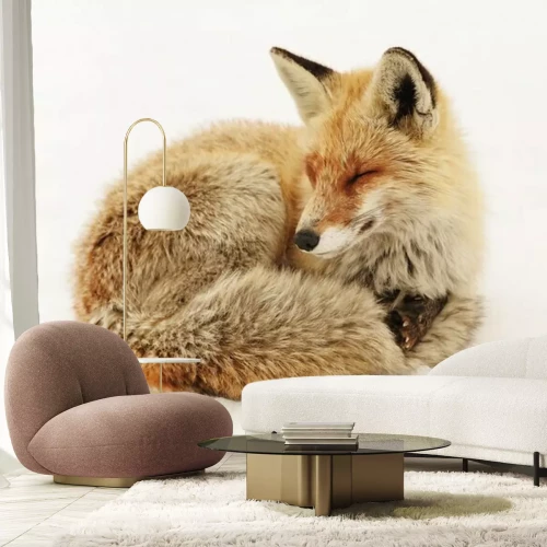 Fototapete Fuchs im weißen Schnee