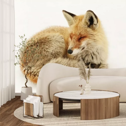 Sticker Fuchs im weißen Schnee