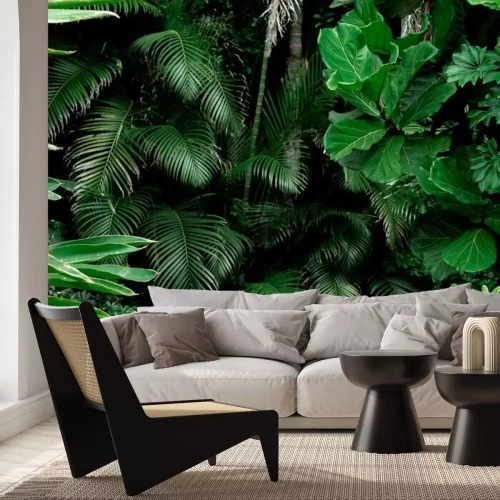 Fototapete Palmenblätter