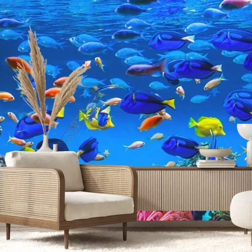 Fototapete Tropische, farbenprächtige Fische