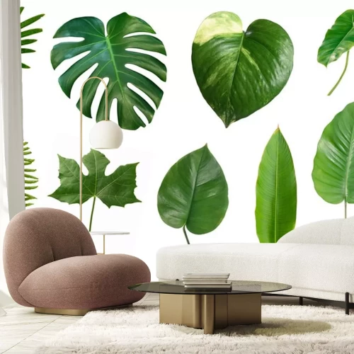 Sticker Set of tropical green leaves isolated on white background.