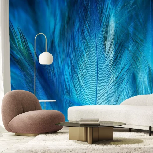 Fototapete Makrotextur von blauen Federn
