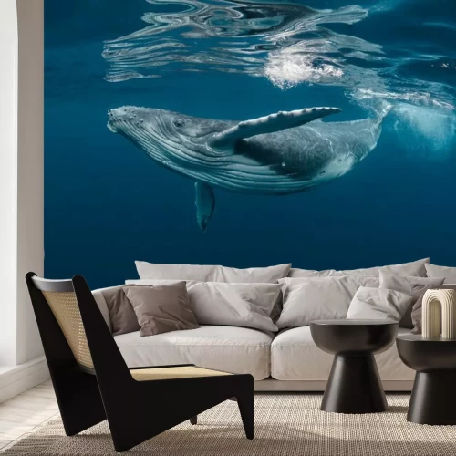 Fototapete Fische im blauen Wasser