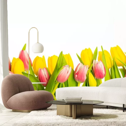 Sticker Gelbe und rosa Frühlingsblumen