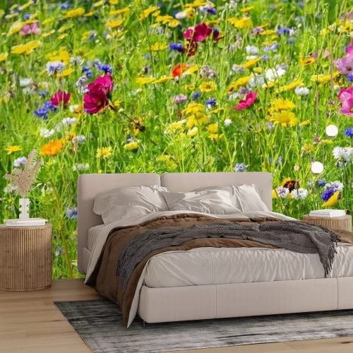 Fototapete Wiese von bunten Blumen