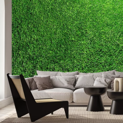 Fototapete Grüner Rasen