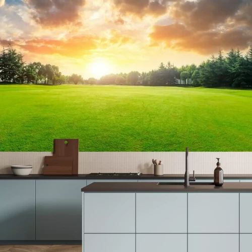 Fototapete Gras Wolken und Sonnenuntergang