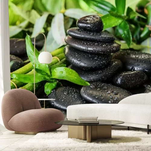 Fototapete Schwarze Steine und Bambus