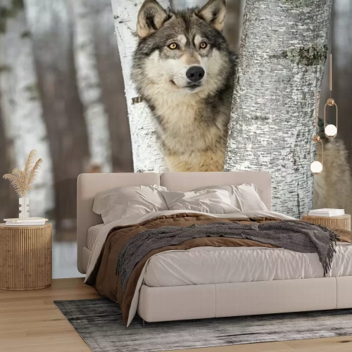 Fototapete Wolf Wald grau