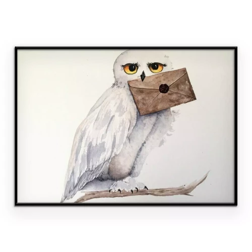 Poster Weiße Eule mit einem Umschlag