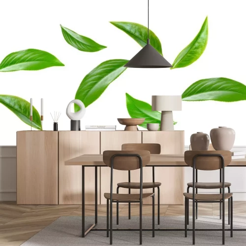 Sticker Green tea leaf collection isolated on white background