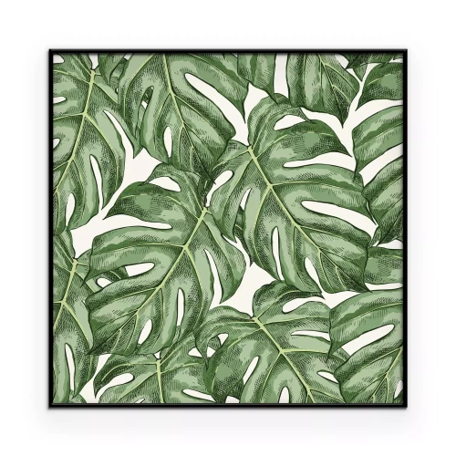 Poster Ein dichtes Muster mit großen Monstera-Blättern