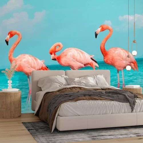 Fototapete Flamingos mit türkisfarbenem wasser im hintergrund