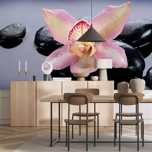 Sticker Zen Stones und Orchid Blume. Stone Massage