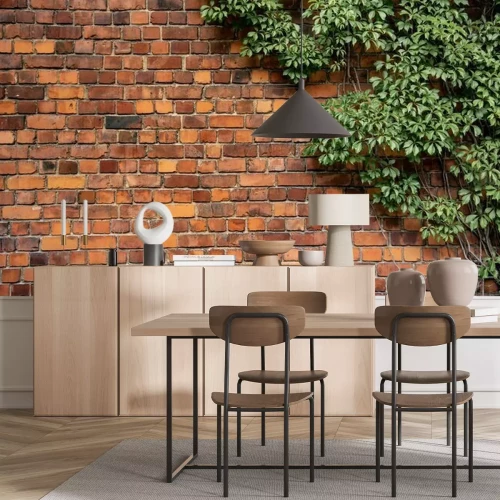 Fototapete Efeu an einer orangefarbenen Wand