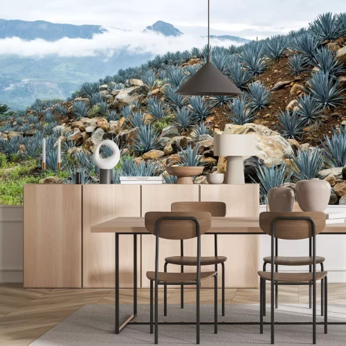 Fototapete Landschaft natur in Mexico