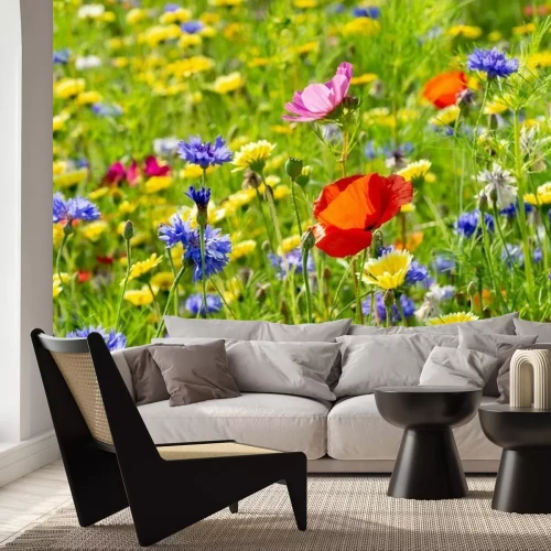 Fototapete Wiese und Wildblumen