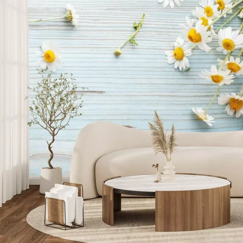 Fototapete Gänseblümchen auf Brettern