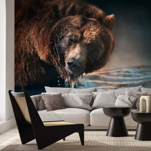 Fototapete Braunbär in einem Gebirgsbach