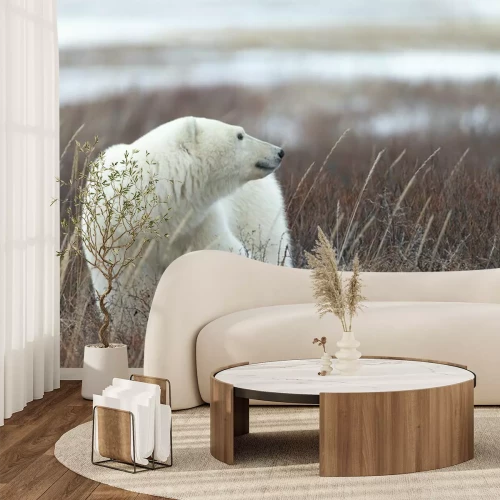 Fototapete Eisbär auf der Lichtung