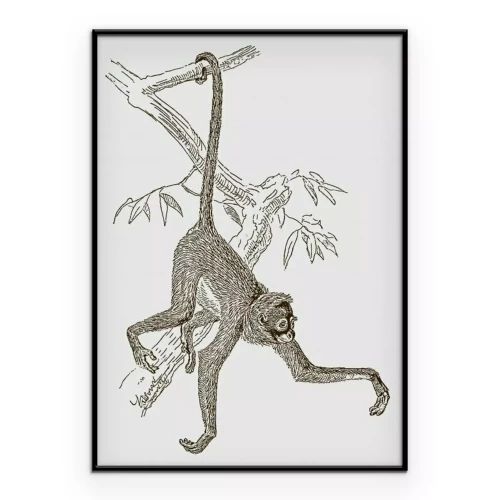 Poster Eine Zeichnung eines Affen, der an einem Ast hängt