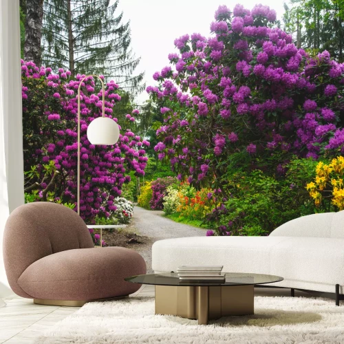 Fototapete Natur im Park