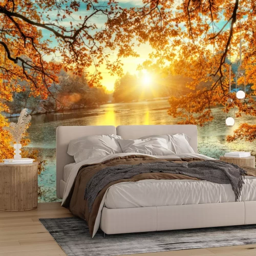 Fototapete Herbstlandschaft Sonnenaufgang zwischen den Bäumen