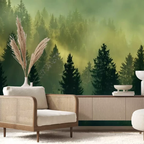 Fototapete Wald Sonnenaufgang