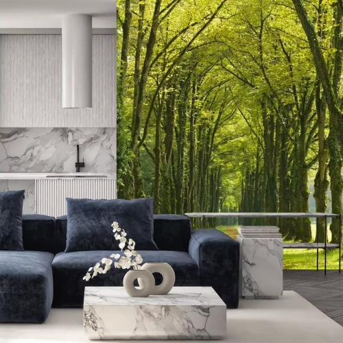 Fototapete Allee Baumallee